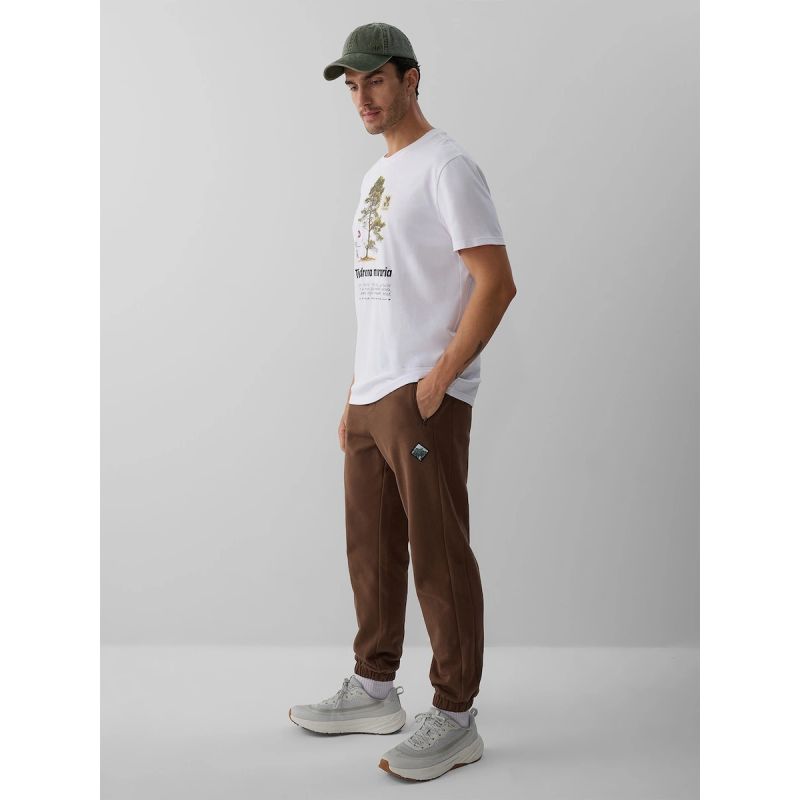 Men's jogger sweatpants 4F 4FRAW26TTROM2092-81S