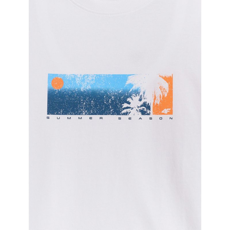 Men's regular printed T-shirt 4F 4FWSS26TTSHM3335-10S 4f