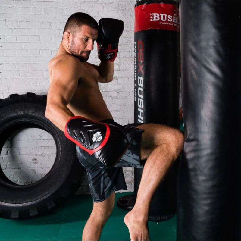 10oz Boxing Gloves - Blaze Red - Legacy Series rękawice treningowe Your Sports Performance