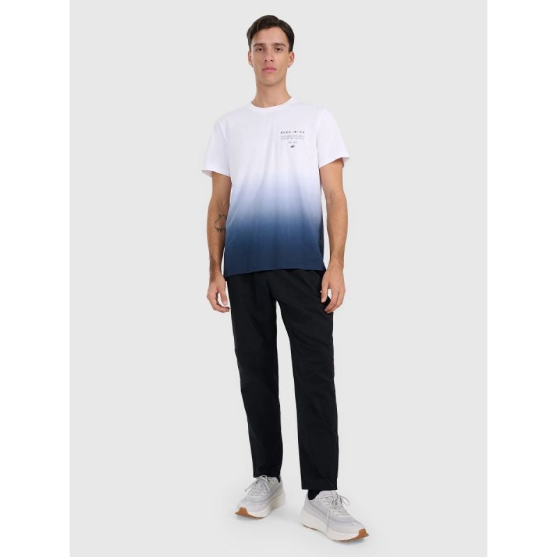 Men's regular printed T-shirt 4F 4FRAW25TTSHM3226-31S 4f