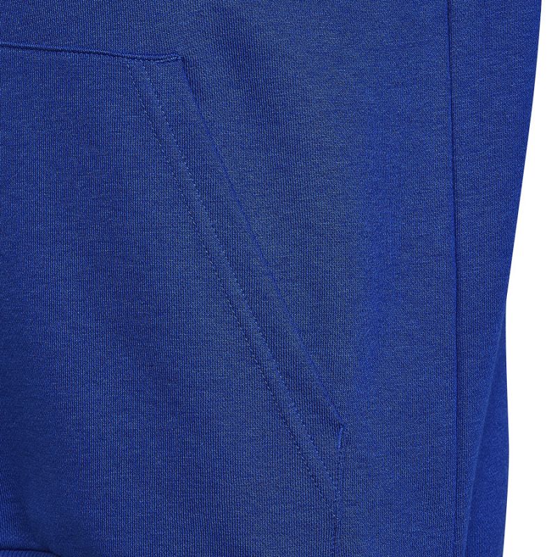 Sweatshirt adidas Big Logo Essentials Hoody Jr HN1912 Clothing/Training Adidas