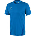 Puma teamGOAL 23 Jersey M 704171 02 Clothing/Lifestyle/T-shirts Puma