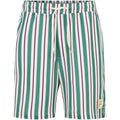 Fila Lastro M FAM0925 13382 shorts Clothing/Lifestyle/Trousers, shorts/Fila Your Sports Performance