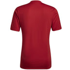 Adidas Entrada 22 Graphic Jersey M HB0572 Clothing/Football Adidas