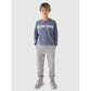 Boys' jogger sweatpants 4F Junior 4FJRAW24TTROM1175-25S *Kategoria tymczasowa Your Sports Performance