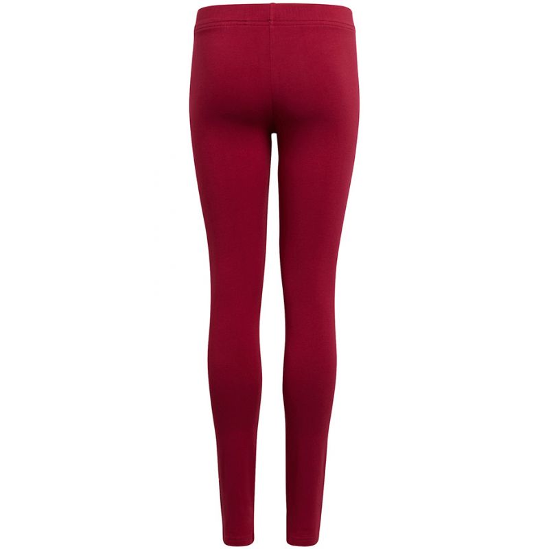 Adidas Essentials Tights Jr HE1971 leggings Clothing/Training Adidas
