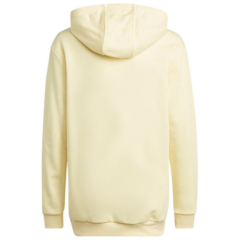 Adidas Badge of Sport Hoodie Jr HN8469 Clothing/Lifestyle Adidas