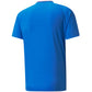 Puma teamVision Jersey M 704921 02 Clothing/Training Puma