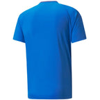 Puma teamVision Jersey M 704921 02 Clothing/Training Puma