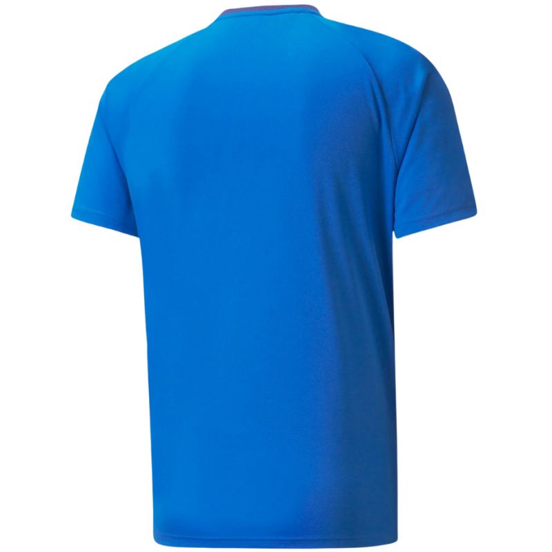 Puma teamVision Jersey M 704921 02 Clothing/Training Puma