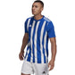 Tee adidas Striped 21 JSY M GH7321 Clothing/Football Adidas