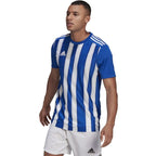 Tee adidas Striped 21 JSY M GH7321 Clothing/Football Adidas