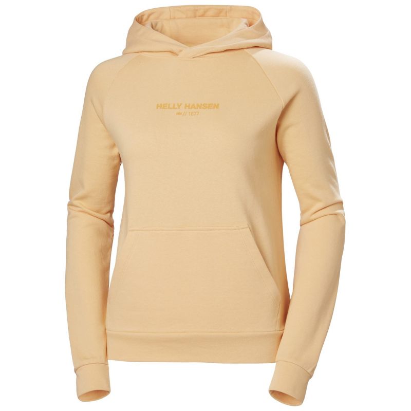 Helly Hansen sweatshirt with hood W Core Hoodie W 54033 316 Clothing/Outdoor/Helly Hansen Your Sports Performance