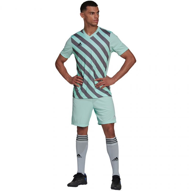 T-shirt adidas Entrada 22 Graphic Jersey M HF0119 Clothing/Training Adidas