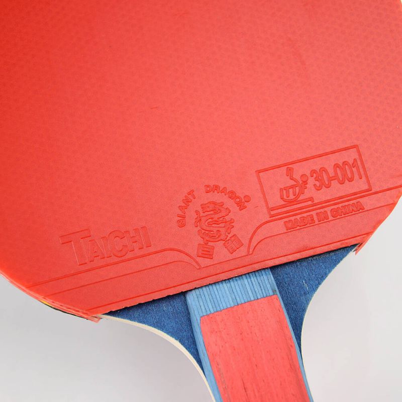 Giant Dragon 4★ N804 Table Tennis Racket Accessories/Rackets and accessories Your Sports Performance