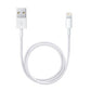 Lightning to USB Cable (0.5 m) In preparation Your Sports Performance