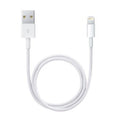 Lightning to USB Cable (0.5 m) In preparation Your Sports Performance