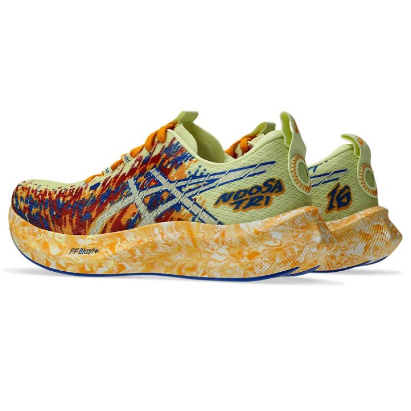 Asics Noosa Tri 16 Shoes Footwear/Running/Men/Road Your Sports Performance