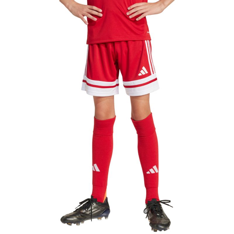 Shorts adidas Squadra 25 Jr JJ2416 Clothing/Football Adidas