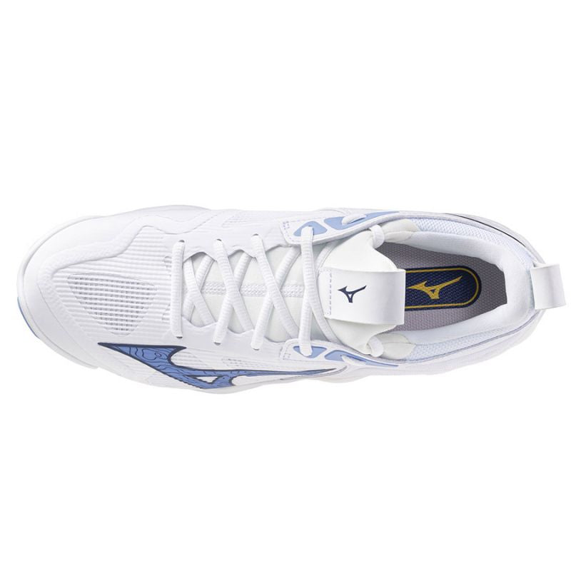 Mizuno WAVE MOMENTUM 3 V1GA231297 shoes Footwear/Volleyball/Men Mizuno