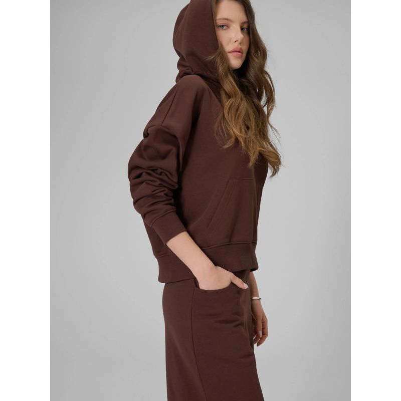 Women's regular hooded sweatshirt 4F 4FRSS26TSWSF2926-80S