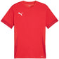 Puma teamGoal Matchday Jersey M 705747 01 Clothing/Football Your Sports Performance