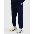 Men's jogger sweatpants 4F 4FRMM00TTROM1625-31S 4f