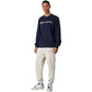 Champion Crewneck Sweatshirt M 220727 BS501 Clothing/Lifestyle/Champion Your Sports Performance