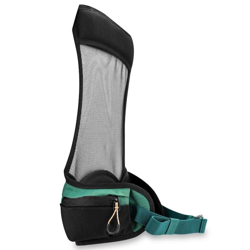 Spokey Buddy SPK-943490 tourist backpack Accessories/Plecaki Your Sports Performance