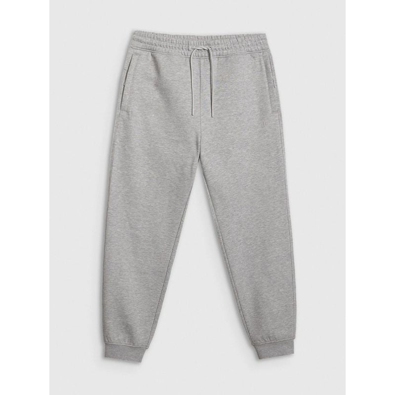 Men's jogger sweatpants 4F 4FRAW25TTROM1832-27M 4f