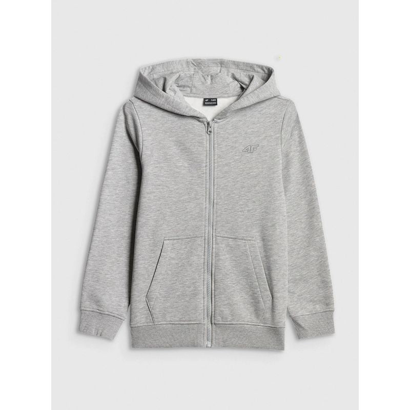 Boy's regular hooded sweatshirt 4F 4FJRMM00TSWSM2747-25M