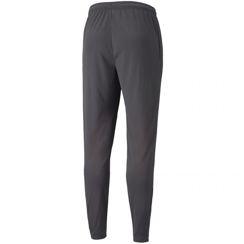 Puma Neymar Jr Futebol Training Pant M 605600 07 Clothing/Football Puma