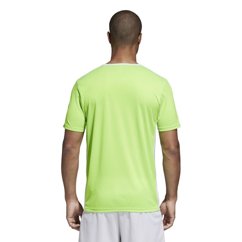 Adidas Entrada 18 CE9758 football jersey Clothing/Football Adidas