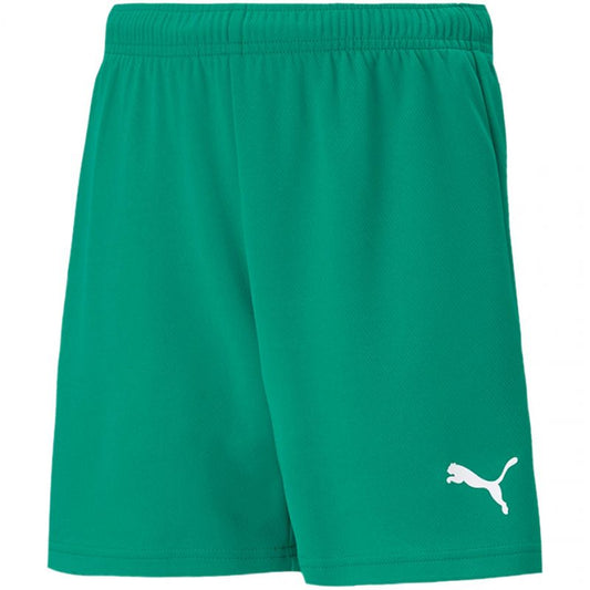 Puma teamRISE Short Jr 704943 05 Clothing/Football Puma