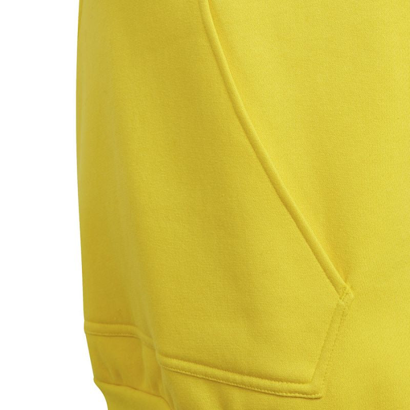 Sweatshirt adidas Entrada 22 Hoody Y Jr HI2142 Clothing/Training Adidas