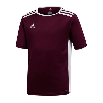 adidas Entrada 18 Jr T-shirt CE9564 adidas
