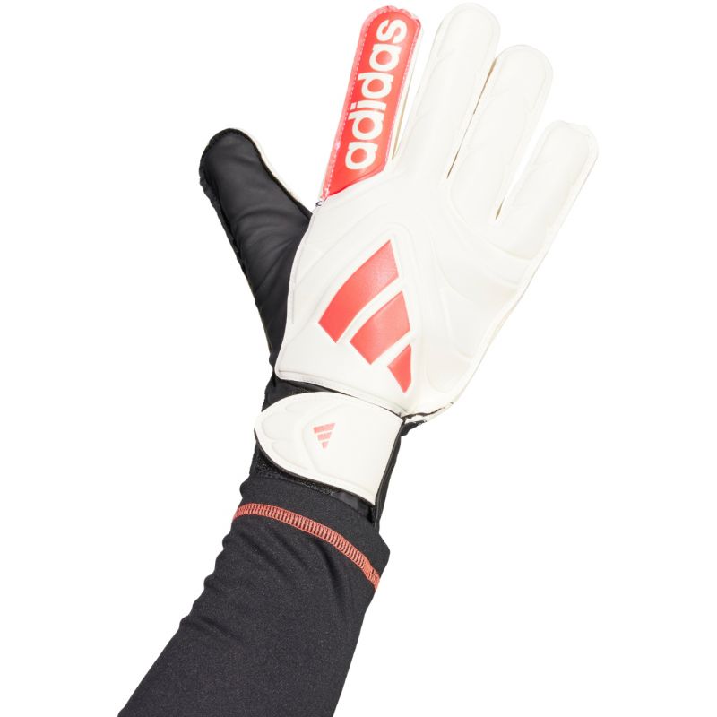 adidas Copa Club Goalkeeper M JH3789 goalkeeper gloves Accessories/Gloves Adidas