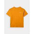 Men's oversized printed T-shirt 4F 4FRAW24TTSHM2578-70S 4f