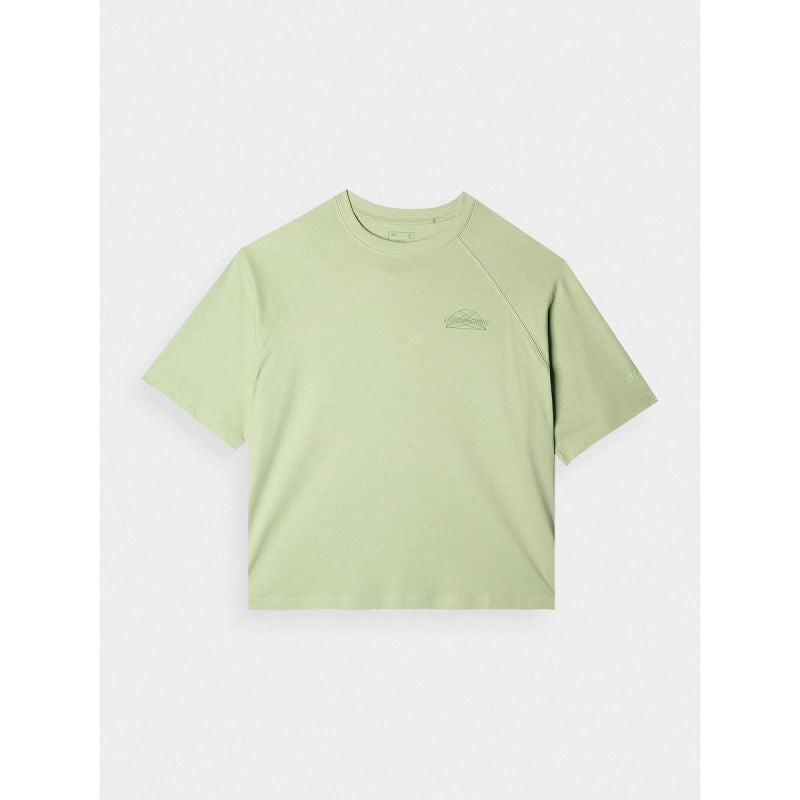 Women's oversize printed T-shirt 4F 4FRAW24TTSHF2583-44S 4f