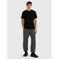 Men's jogger sweatpants 4F 4FRMM00TTROM1625-23M 4f