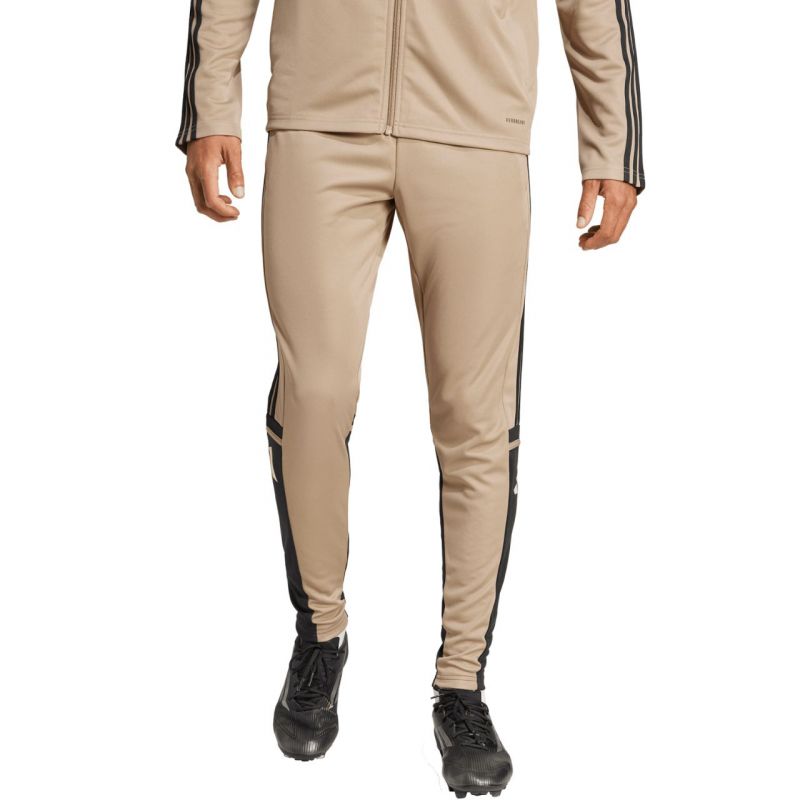adidas Squadra 25 Training Pants M JP3374 Clothing/Football Adidas