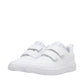 Puma Courtflex V3 V PS Jr shoes 397642 02 Footwear/Lifestyle Puma