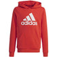 Adidas Big Logo Hoodie Jr IX9531 sweatshirt Clothing/Lifestyle Adidas