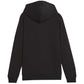 Puma Team Goal Casuals Hoddy Jr sweatshirt 658619 03 Clothing/Training Puma