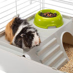 CAVIE 80 (x1) - cage for guinea pigs Dla małych zwierząt/Klatki Your Sports Performance