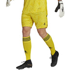 Goalkeeper shorts adidas Condivo 22 M HF0141 Clothing/Football Adidas
