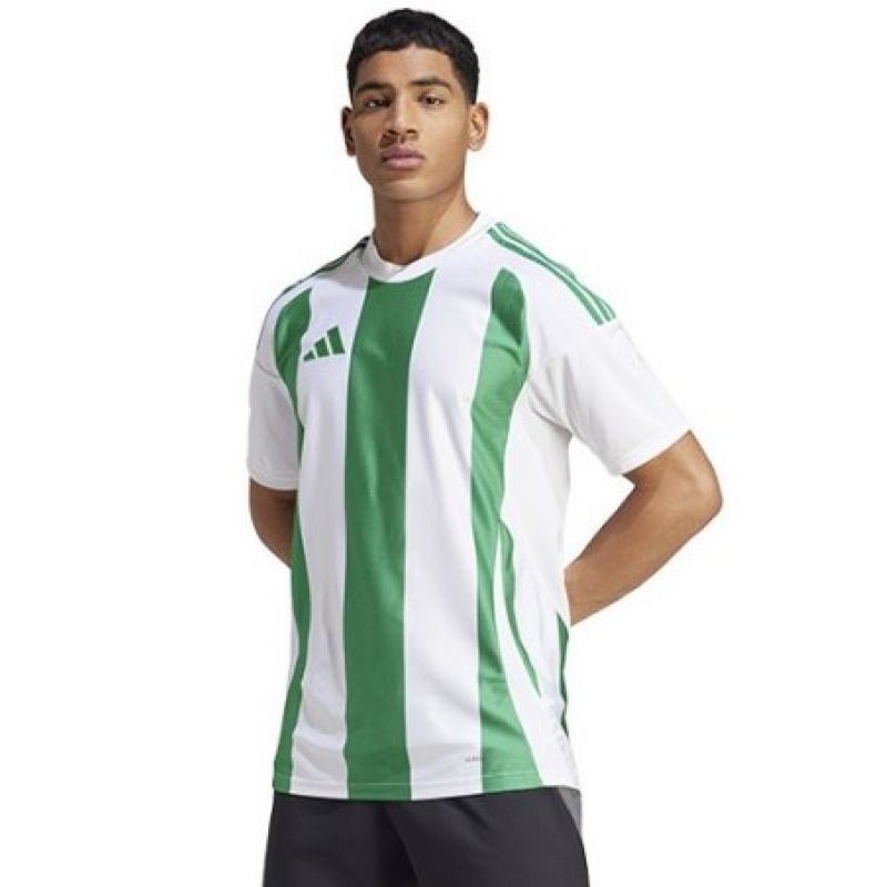 Adidas Striped 24 JSY M T-shirt IW2148 Clothing/Football Adidas