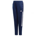 Adidas Tiro 21 Training Jr GK9659 pants Clothing/Football Adidas