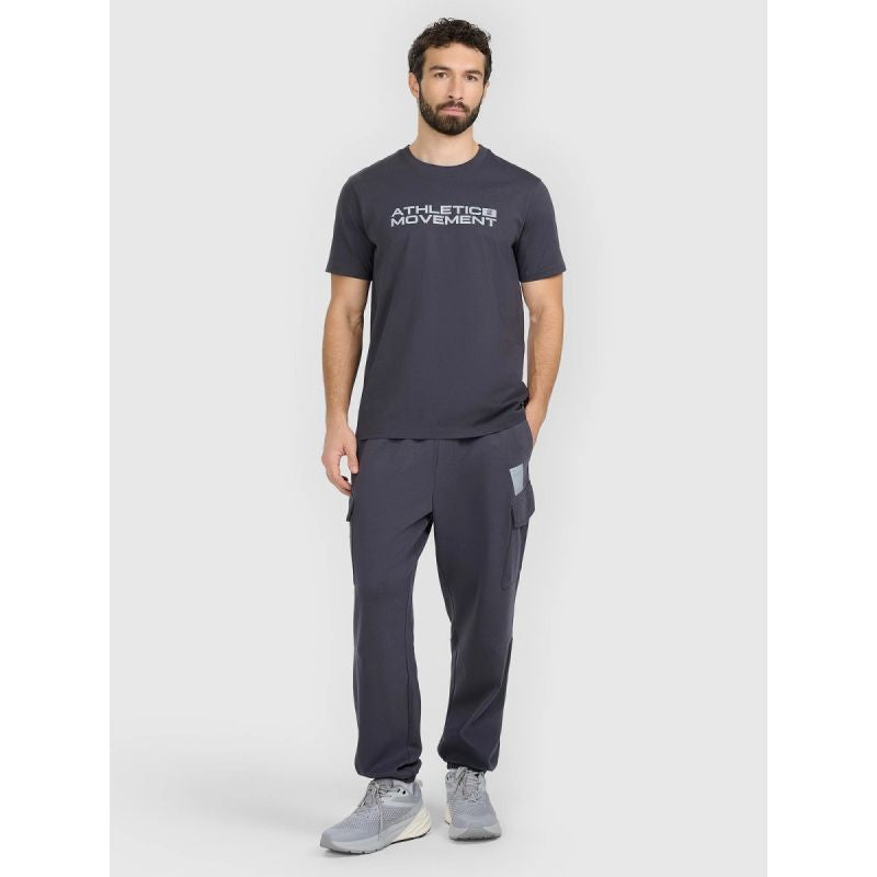Men's jogger sweatpants 4F 4FRAW25TTROM1694-22S 4f