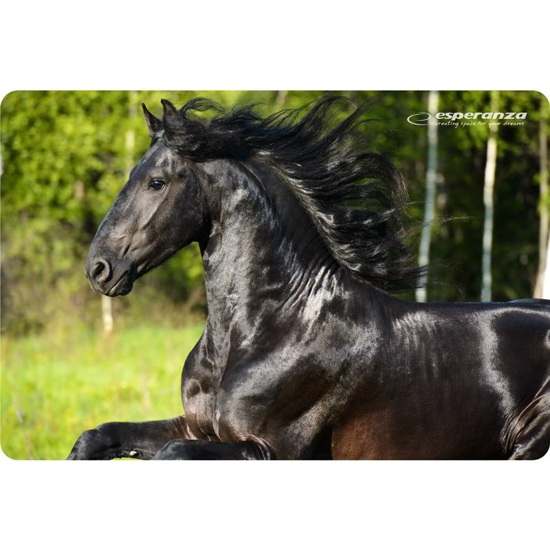 Esperanza Photo Mix Mouse Pad EA133 In preparation Your Sports Performance